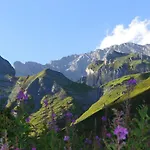 Les Bains D'ovronnaz