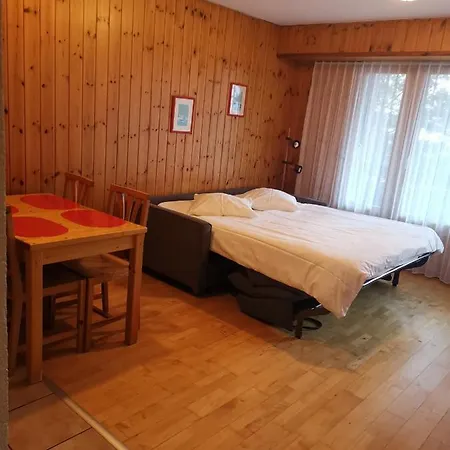 Les Bains D'ovronnaz 3* オヴロナ