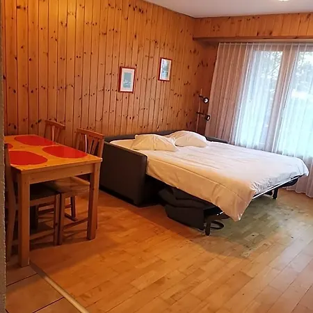 Otel Les Bains D'ovronnaz 3*