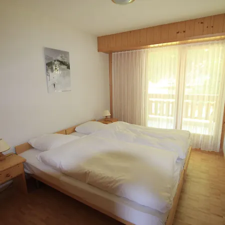 Les Bains D'ovronnaz Ξενοδοχείο 3*