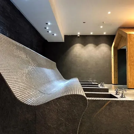Ξενοδοχείο Les Bains D'ovronnaz 3*