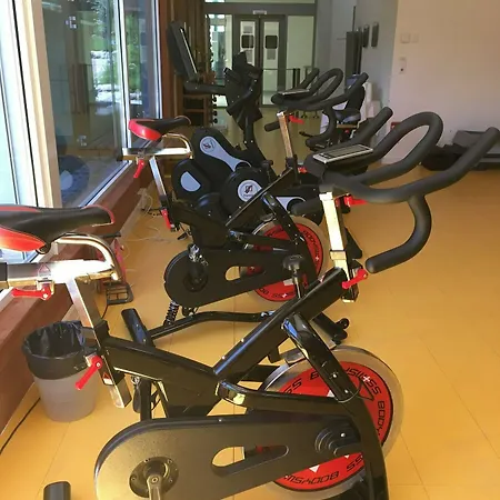 ホテル Les Bains D'ovronnaz