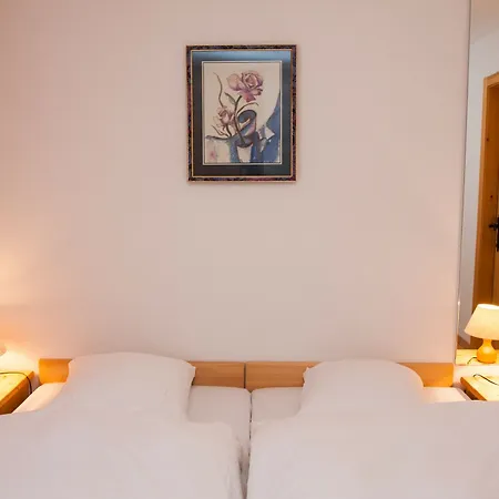 Hotel Les Bains D'ovronnaz