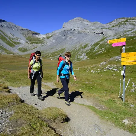 Hotel Les Bains D'ovronnaz 3*