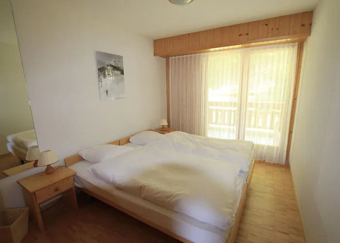 Les Bains D'ovronnaz Hotel 3*