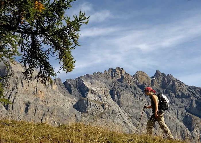 Hotel Les Bains D'ovronnaz Ovronnaz